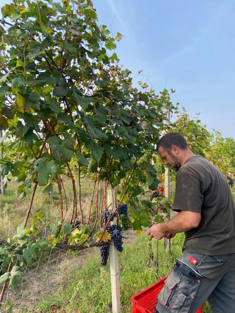 Agriturismo L'Antico Sapore Baraggia di Boca Zewnętrze zdjęcie